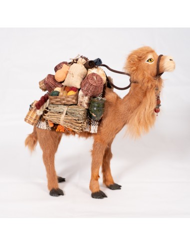 Dromedar beladen, stehend