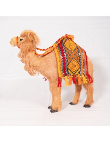 Dromedar mit Satteldecke stehend