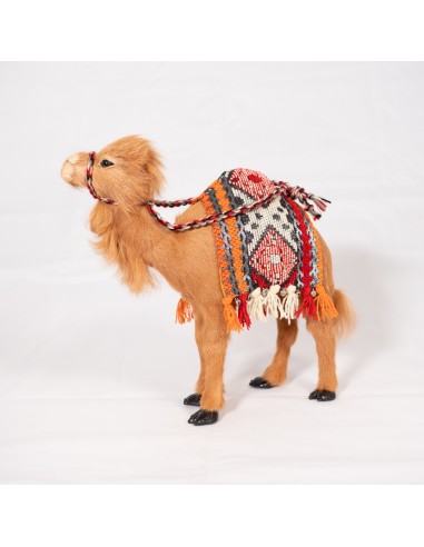 Satteldecke für Dromedar