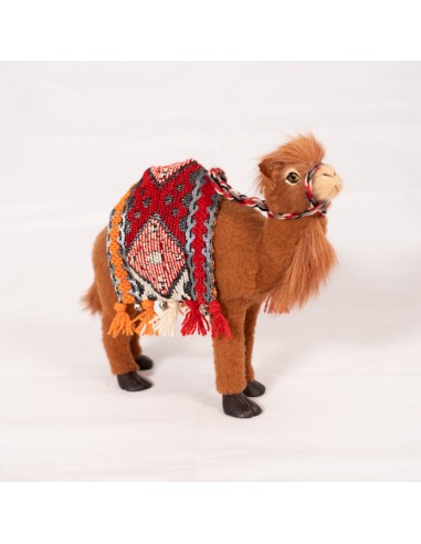 Dromedar mit Satteldecke