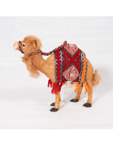 Dromedar mit Satteldecke