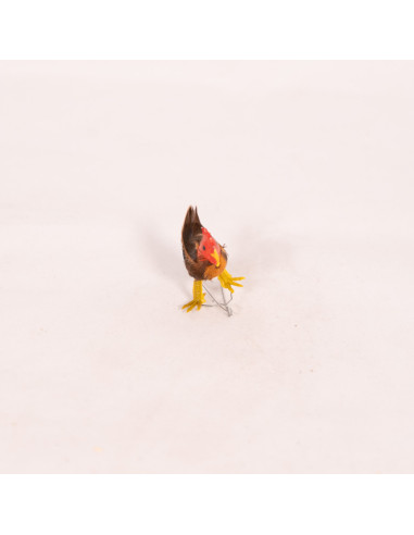 Huhn