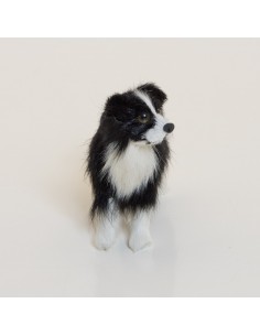 Hund, Bordercollie